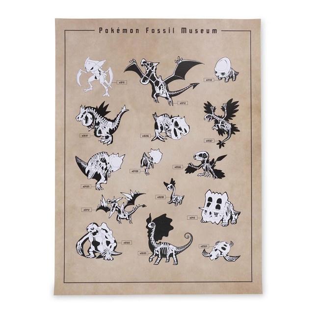 Pokémon Fossil Museum: Skeletons Poster